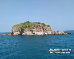 Pink Island of Ko Ta Lu excursion in Pattaya Thailand picture 77