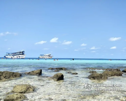 Pink Island of Ko Ta Lu excursion in Pattaya Thailand picture 65