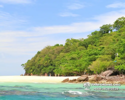 Pink Island of Ko Ta Lu excursion in Pattaya Thailand picture 54
