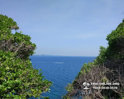 Pink Island of Ko Ta Lu excursion in Pattaya Thailand picture 30