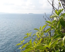 Pink Island of Ko Ta Lu excursion in Pattaya Thailand picture 34