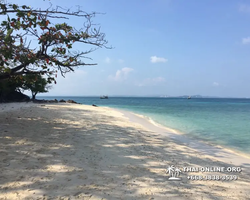 Pink Island of Ko Ta Lu excursion in Pattaya Thailand picture 41