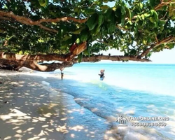 Pink Island of Ko Ta Lu excursion in Pattaya Thailand picture 25