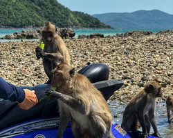 Guided tour on jet skis Pattaya Thailand - trip photo 72