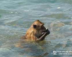 Jet ski island tour Pattaya Thailand - excursion picture 35
