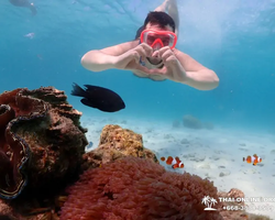 Paradise Island excursion Ko Chuang from Pattaya Thailand photo 23