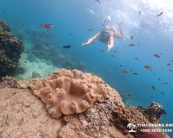 Paradise Island excursion Ko Chuang from Pattaya Thailand photo 26