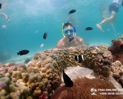 Paradise Island excursion Ko Chuang from Pattaya Thailand photo 3