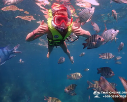 Paradise Island excursion Ko Chuang from Pattaya Thailand photo 9