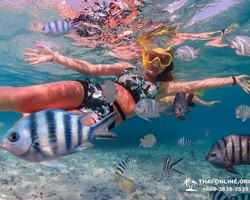 Paradise Island excursion Ko Chuang from Pattaya Thailand photo 25