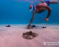 Paradise Island excursion Ko Chuang from Pattaya Thailand photo 42