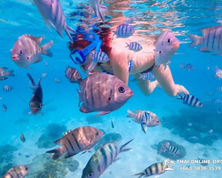 Koh Chuen Paradise Island tour Pattaya Thailand trip photo 36