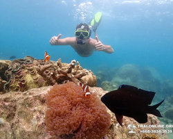 Paradise Island excursion Ko Chuang from Pattaya Thailand photo 8