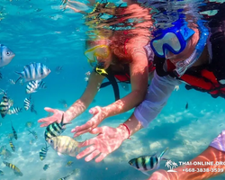 Paradise Island excursion Ko Chuang from Pattaya Thailand photo 33