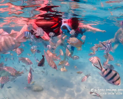 Paradise Island excursion Ko Chuang from Pattaya Thailand photo 28