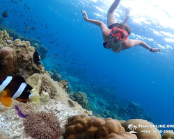 Paradise Island excursion Ko Chuang from Pattaya Thailand photo 6