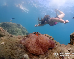 Paradise Island excursion Ko Chuang from Pattaya Thailand photo 7