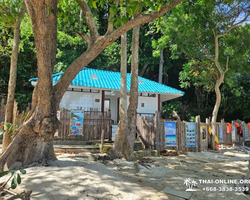 Pattaya Thailand 9 Tropical Island Cruise - excursion photo 98