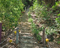 Pattaya Thailand 9 Tropical Island Cruise - excursion photo 102