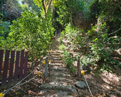 Pattaya Thailand 9 Tropical Island Cruise - excursion photo 101