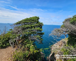 Pattaya Thailand 9 Tropical Island Cruise - excursion photo 111