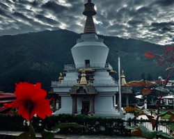 Kingdom of Bhutan guided tour from Pattaya Thailand - photo 127