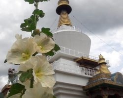 Kingdom of Bhutan guided tour from Pattaya Thailand - photo 188