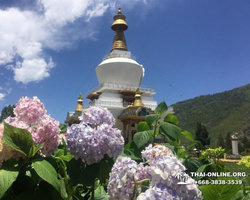 Kingdom of Bhutan guided tour from Pattaya Thailand - photo 149