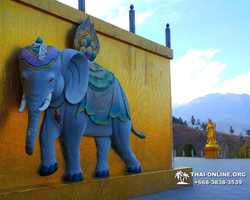 Kingdom of Bhutan guided tour from Pattaya Thailand - photo 132