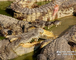 Crocodile Farm excursion from Pattaya Thailand - photo 116
