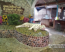 Crocodile Farm excursion from Pattaya Thailand - photo 115