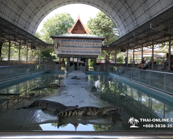 Crocodile Farm excursion from Pattaya Thailand - photo 35