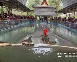 Crocodile Farm excursion from Pattaya Thailand - photo 26