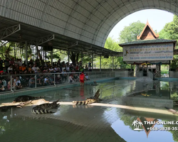 Crocodile Farm excursion from Pattaya Thailand - photo 57