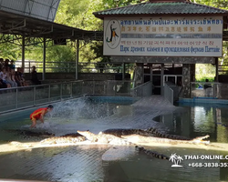Crocodile Farm excursion from Pattaya Thailand - photo 2