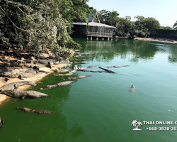 Crocodile Farm excursion from Pattaya Thailand - photo 6