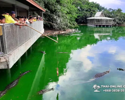 Crocodile Farm excursion from Pattaya Thailand - photo 82