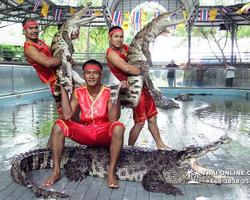 Crocodile Farm excursion from Pattaya Thailand - photo 24