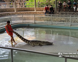 Crocodile Farm excursion from Pattaya Thailand - photo 55