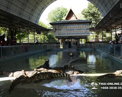 Crocodile Farm excursion from Pattaya Thailand - photo 4