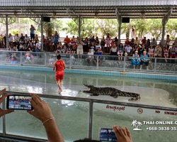 Crocodile Farm excursion from Pattaya Thailand - photo 63