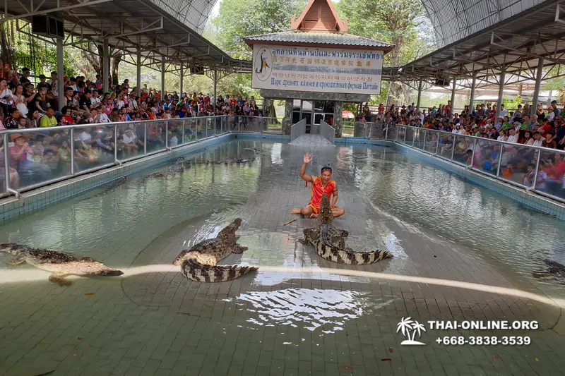 The Million Years Stone Park and Pattaya Crocodile Farm photo 14