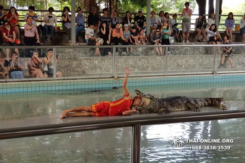 Crocodile Farm excursion from Pattaya Thailand - photo 45