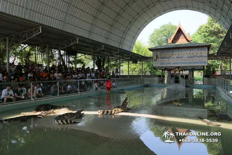 The Million Years Stone Park and Pattaya Crocodile Farm photo 3