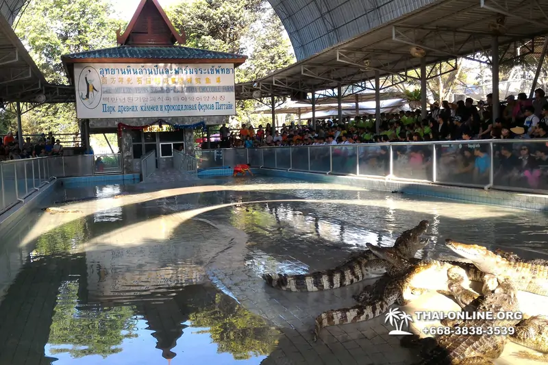 Crocodile Farm excursion from Pattaya Thailand - photo 147