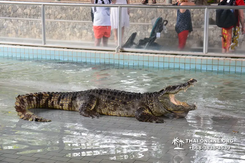 The Million Years Stone Park and Pattaya Crocodile Farm photo 7