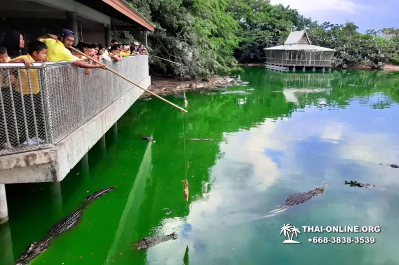 The Million Years Stone Park and Pattaya Crocodile Farm photo 8