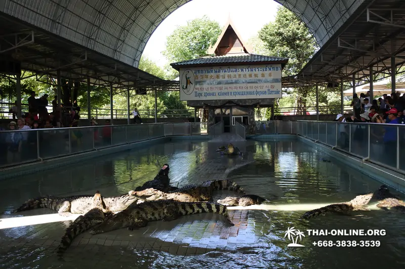 Crocodile Farm excursion from Pattaya Thailand - photo 4