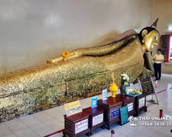 Dragon Lair, one gay guided trip from Pattaya to Chonburi - photo 176