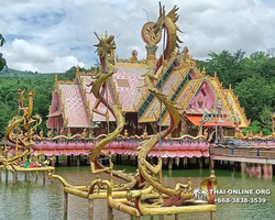 Dragon Lair, one gay guided trip from Pattaya to Chonburi - photo 101